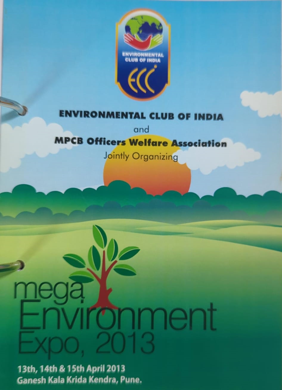Mega Environment Expo 2013